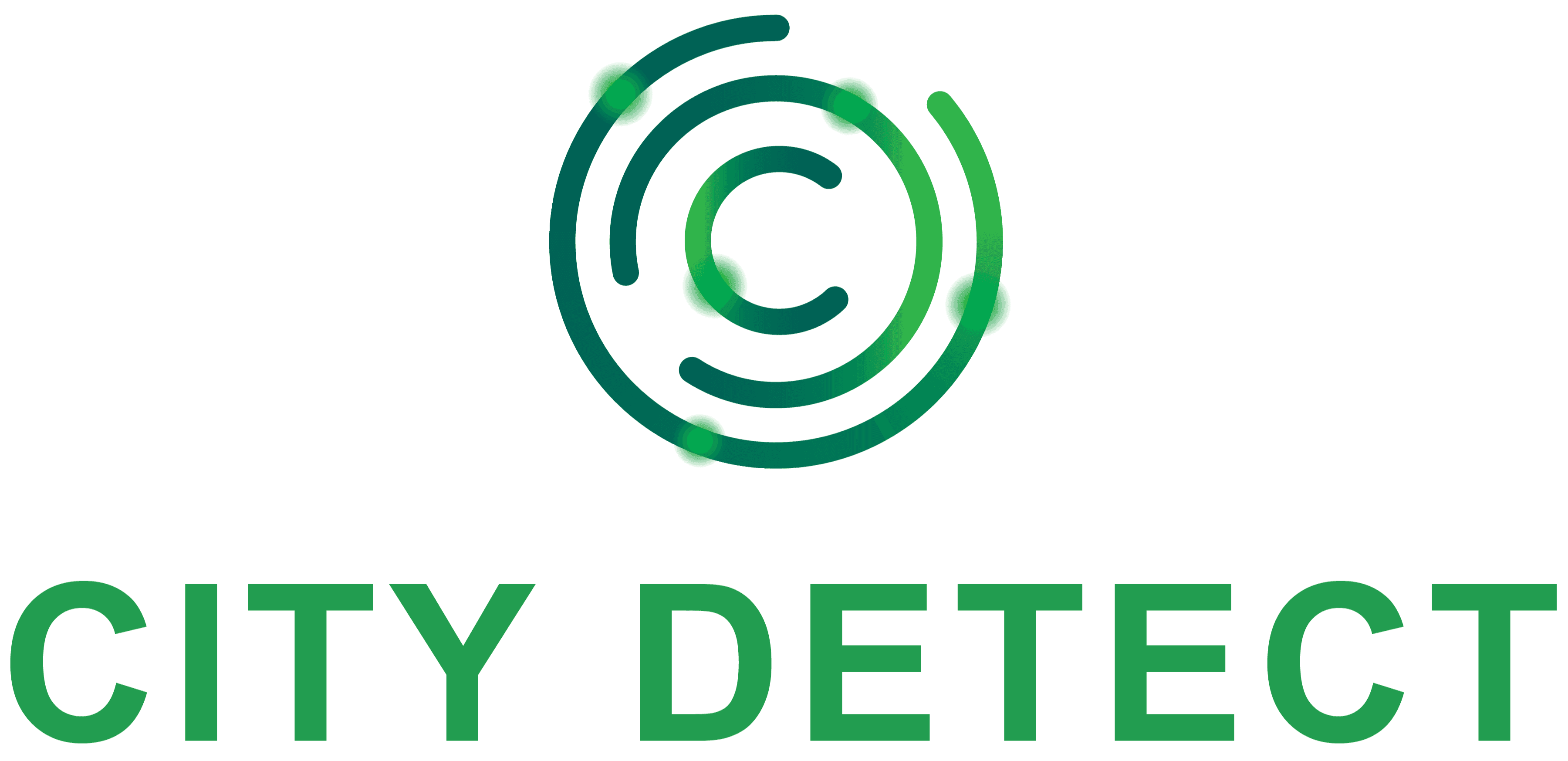 City Detect logo 1